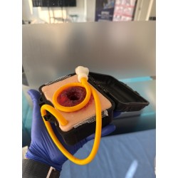 Wound packing simulator (bullet wound) in transport box
