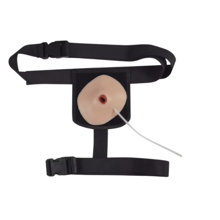 Simulador de herida exanguinante inguinal