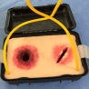 Simulador doble herida para empaque de heridas con caja de transporte  Stop The Bleed Chile